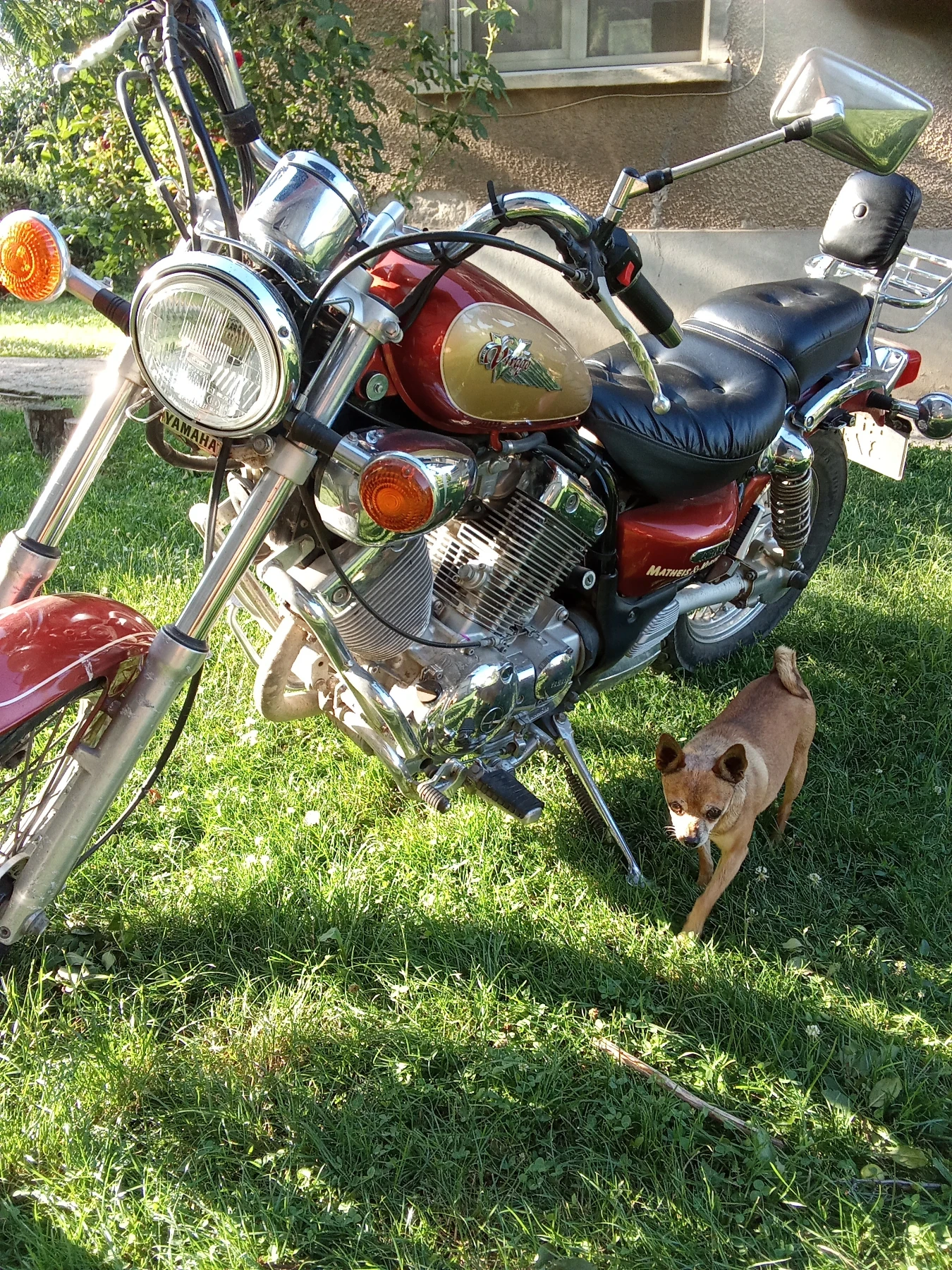 Yamaha Virago, снимка 3 - Мотоциклети и мототехника - 55163494