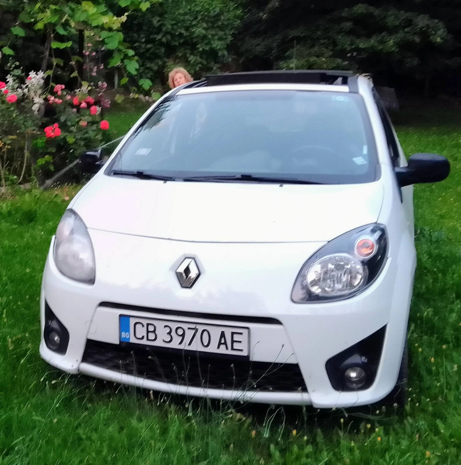 Renault Twingo, снимка 2 - Автомобили и джипове - 53870275