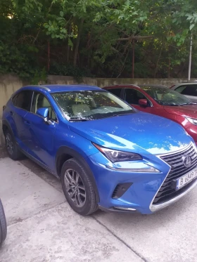 Lexus NX 300h Executive 4x4, снимка 2