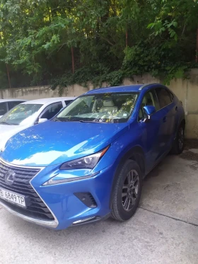 Lexus NX 300h Executive 4x4, снимка 3