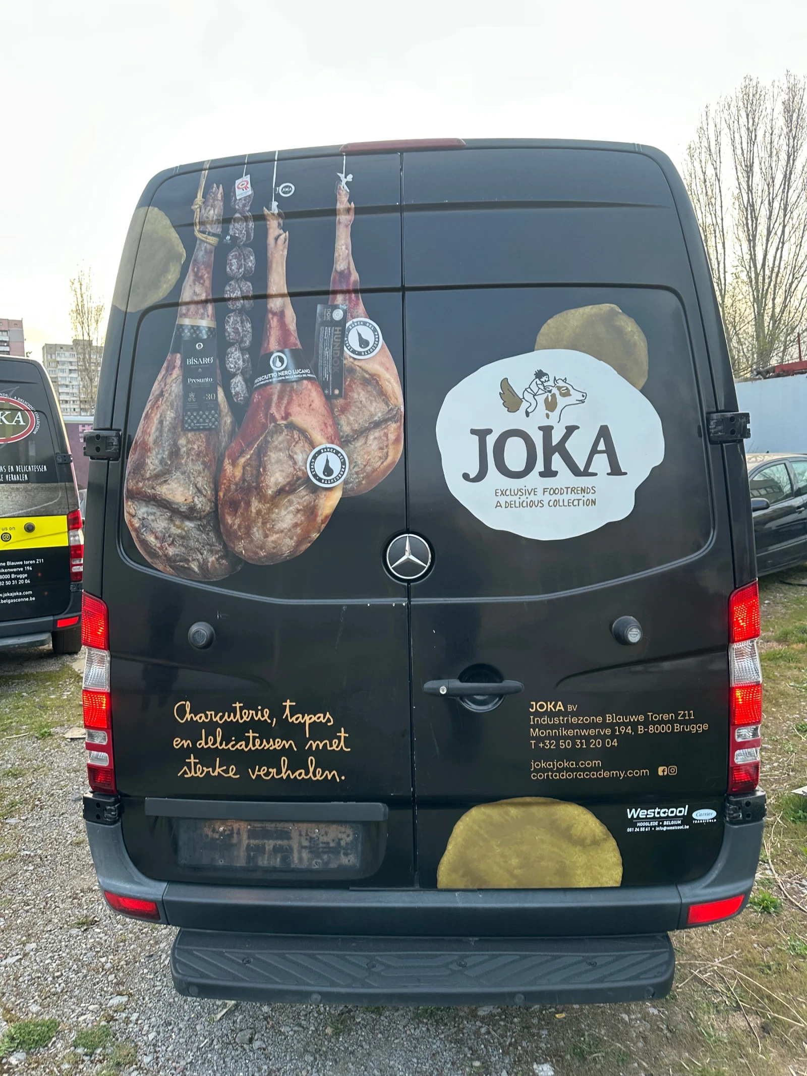 Mercedes-Benz Sprinter 313 CDI Хладилен, снимка 4 - Бусове и автобуси - 54221969