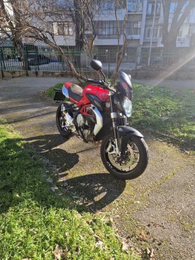 MV Agusta Brutale 800, снимка 2