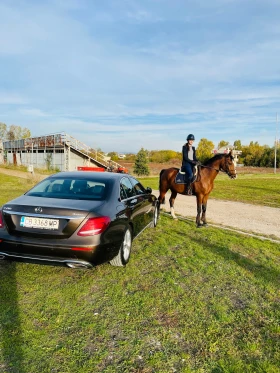 Mercedes-Benz 200 Avantgarde | Mobile.bg    5