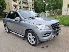 Mercedes-Benz ML 250 4 matik | Mobile.bg    14