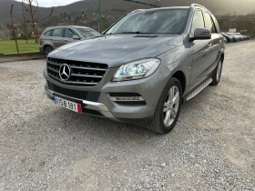     Mercedes-Benz ML 250 4 matik