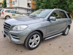 Mercedes-Benz ML 250 4 matik | Mobile.bg    13