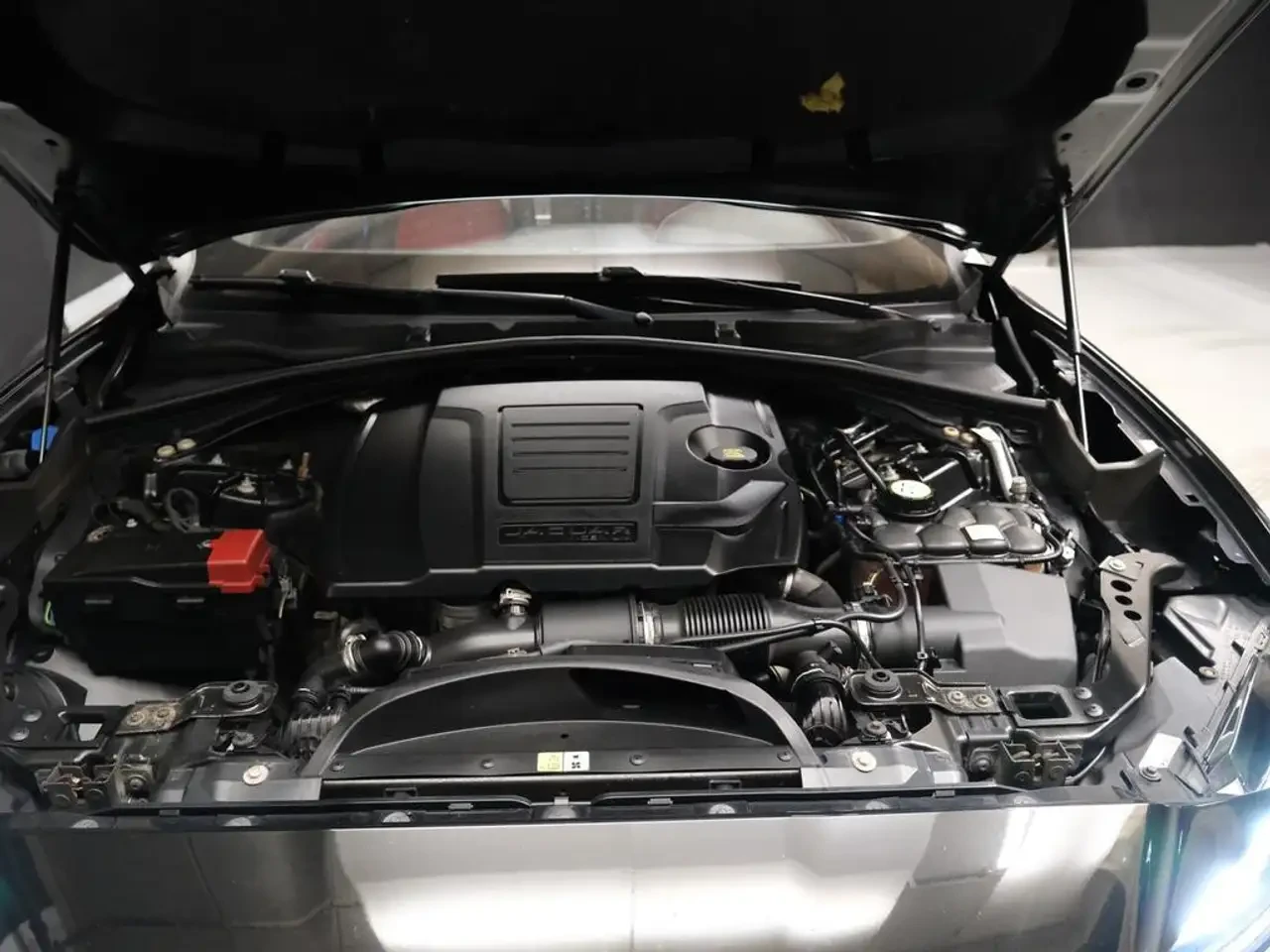 Jaguar F-PACE Distinctive by design. Sporty by nature All Wheel | Mobile.bg � ����������� 8