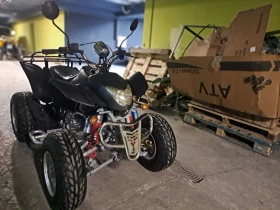 Bashan BS 350, снимка 17