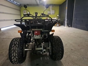 Bashan BS 350, снимка 6