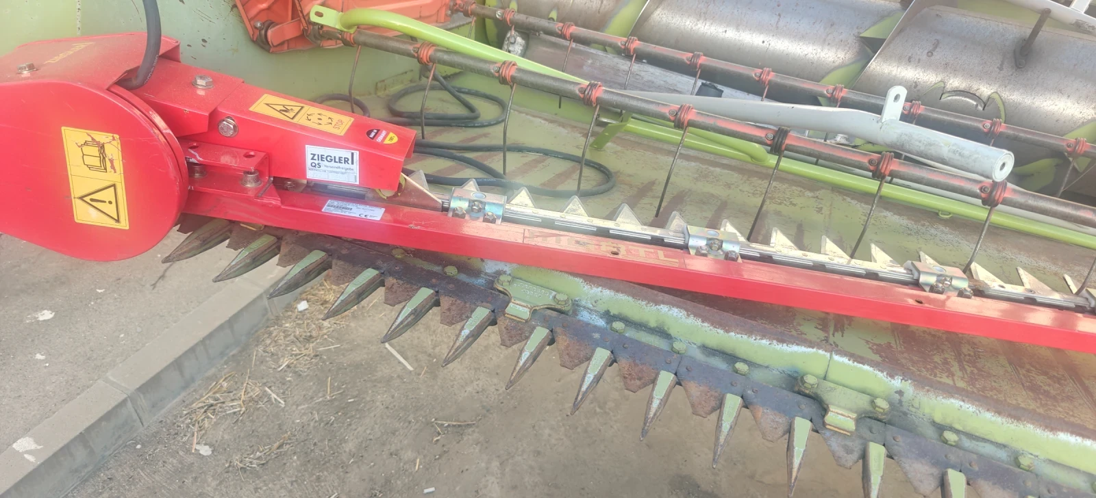 Хедер Ziegler, снимка 1