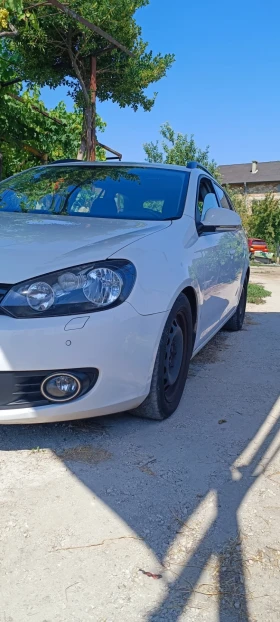 VW Golf