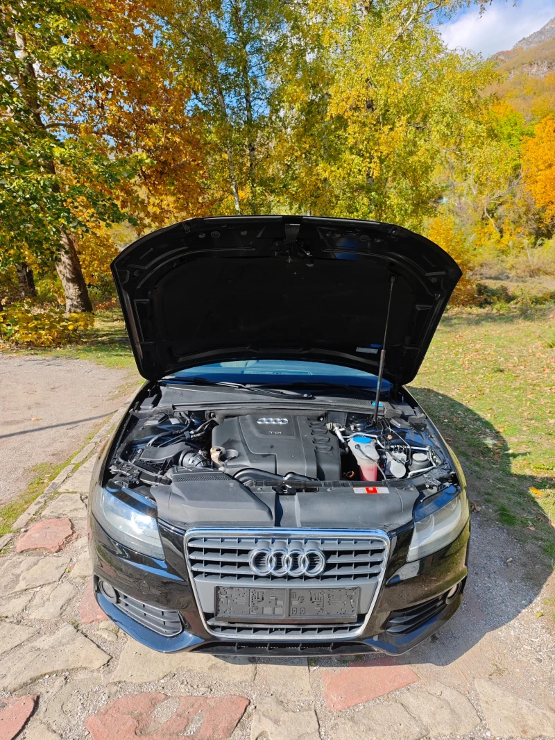 Audi A4 2.0ТДИ НОВ ВНОС, снимка 10 - Автомобили и джипове - 52065399