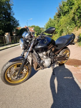  Honda Hornet