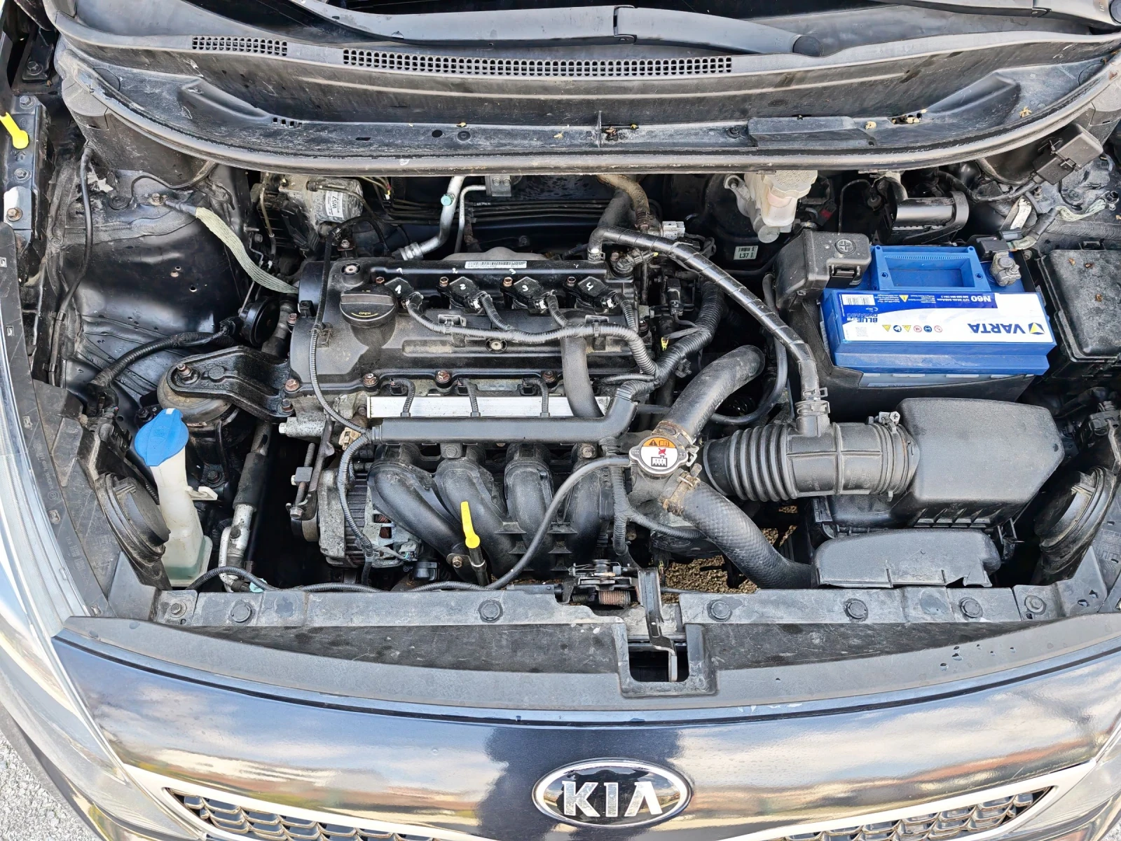 Kia Rio 1.2i Eco Dynamic Перфектен, снимка 14 - Автомобили и джипове - 54157094