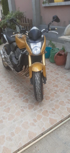  Honda Hornet