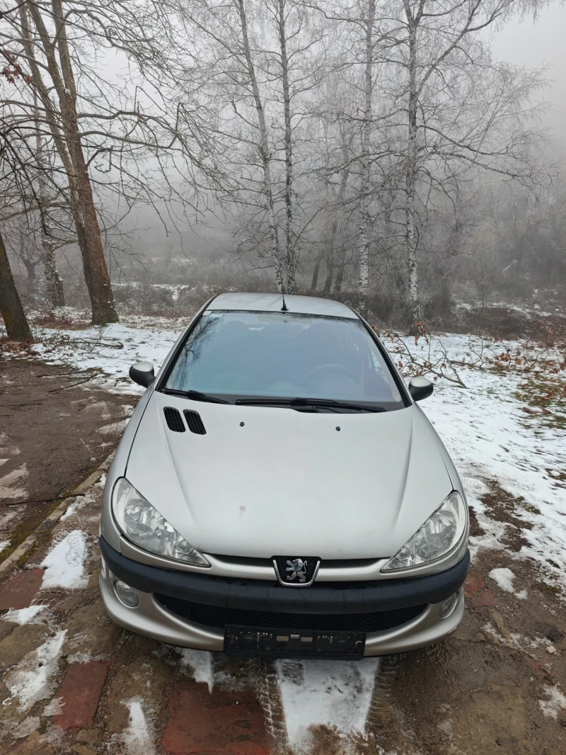 Peugeot 206 1.4HDI Н.ВНОС, снимка 12 - Автомобили и джипове - 53213268