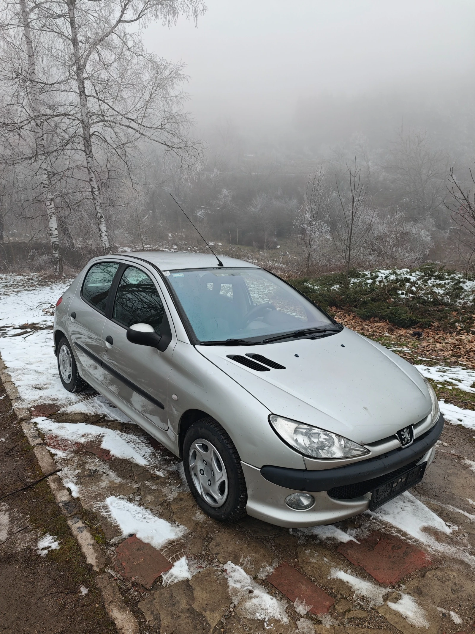 Peugeot 206 1.4HDI Н.ВНОС, снимка 1