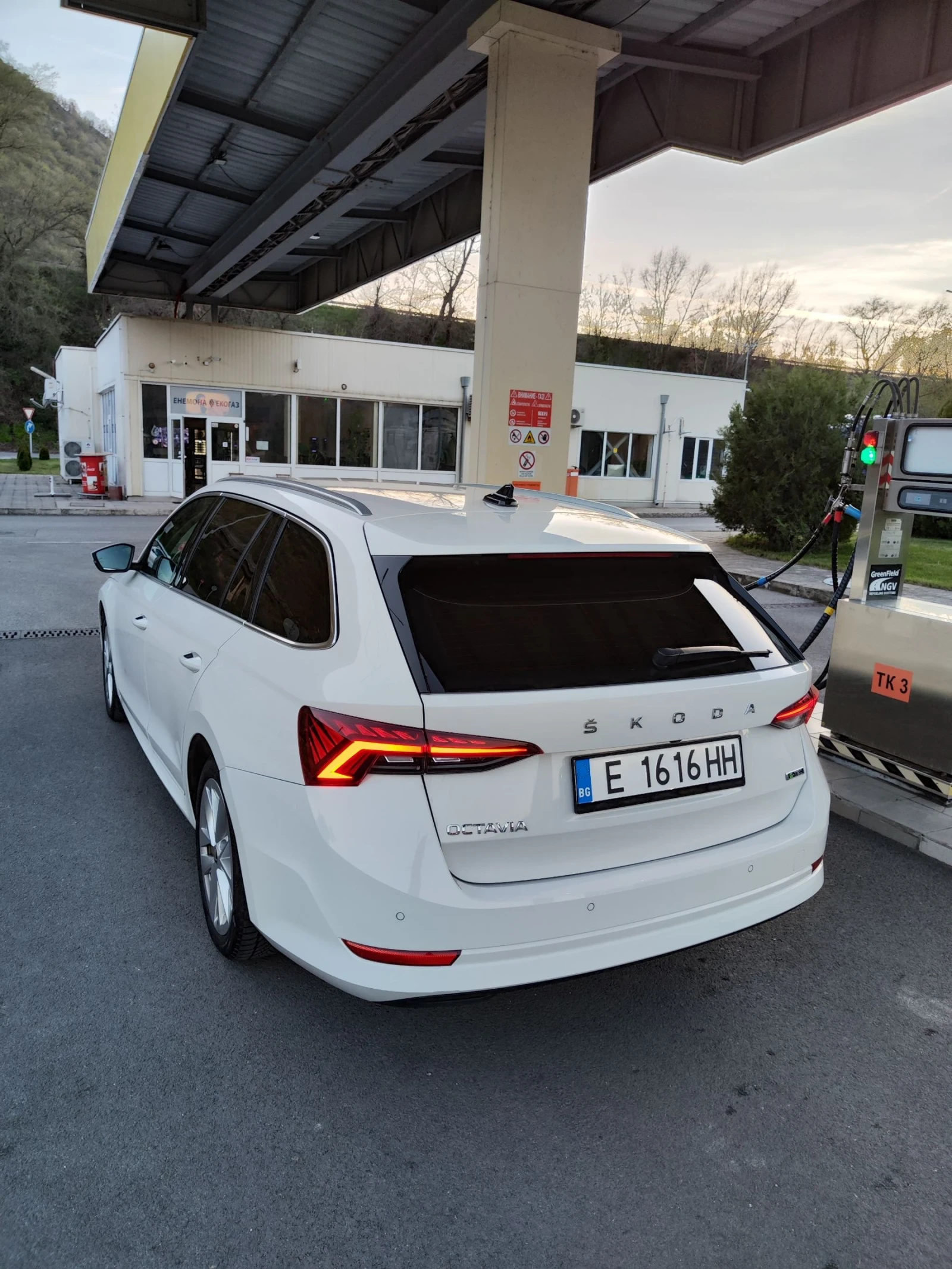 Skoda Octavia G- TEC - изображение 10