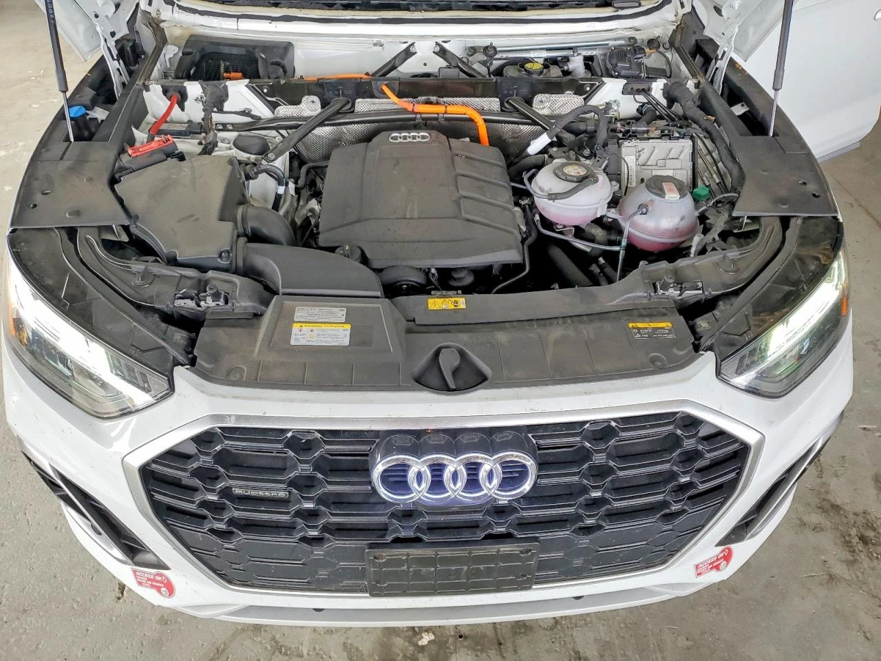 Audi Q5 E PREMIUM PLUS 55 QUATTRO | Mobile.bg � ����������� 12