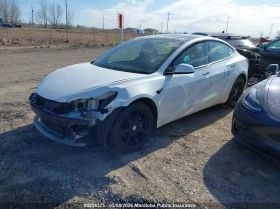Tesla Model 3 Facelift LFP Термопомпа - 9990 € / 19538.74 лв. - 12804217 3