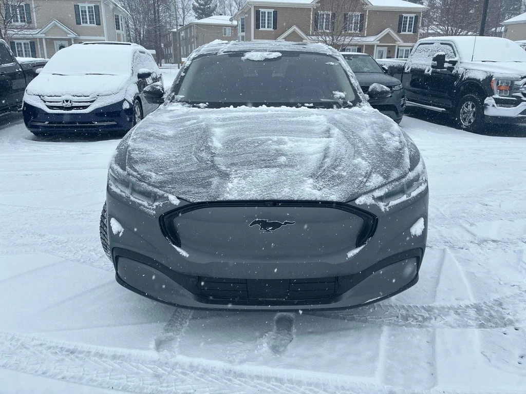 Ford Mustang Mach-E Premium  CARFAX - изображение 6