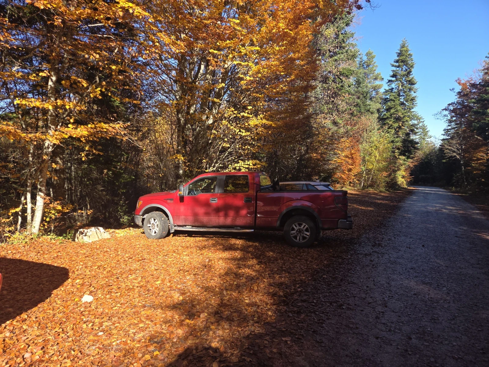 Ford F150  - изображение 2