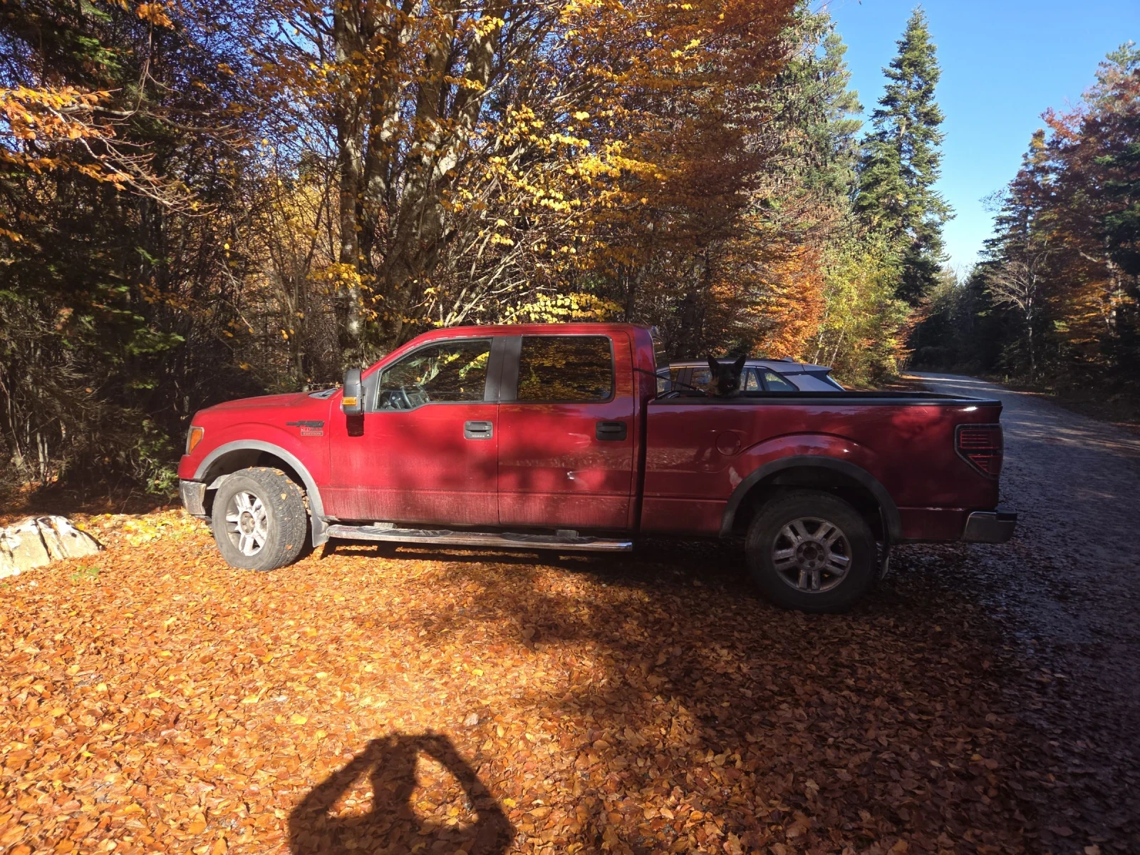 Ford F150 | Mobile.bg � ����������� 1