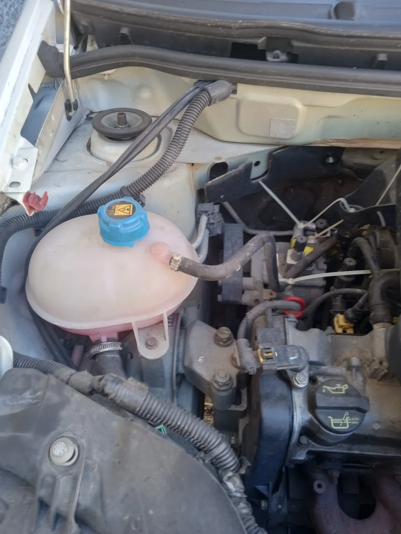 Fiat Panda 1.2 Allesi, снимка 5 - Автомобили и джипове - 52335416