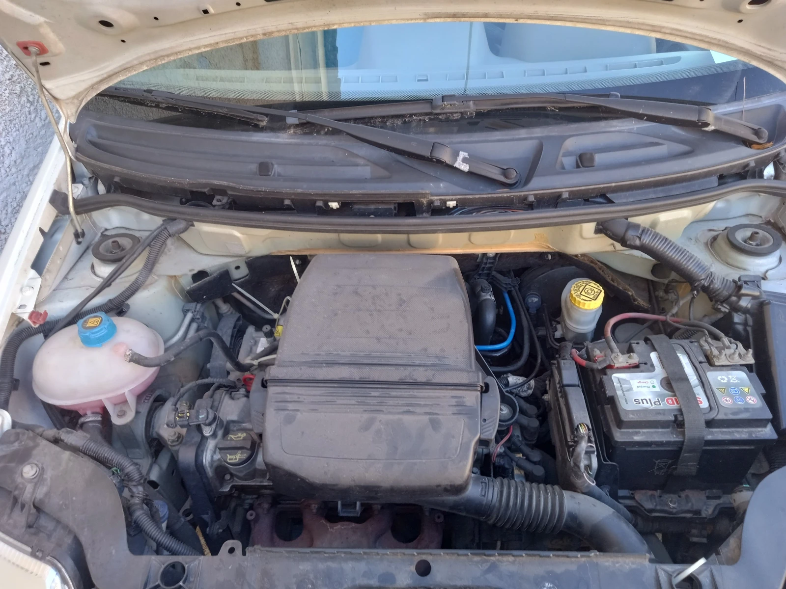 Fiat Panda 1.2 Allesi | Mobile.bg   4