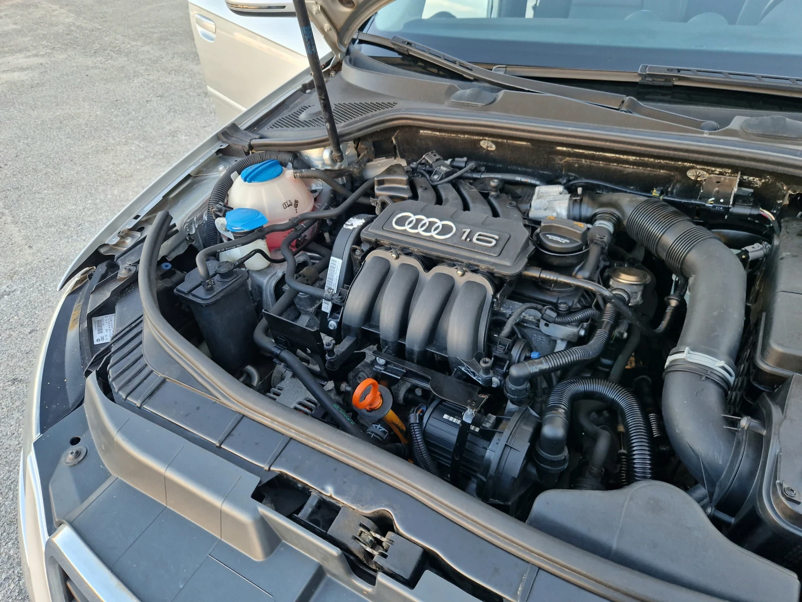 Audi A3 1.6 i 102 kH TOP  | Mobile.bg � ����������� 16