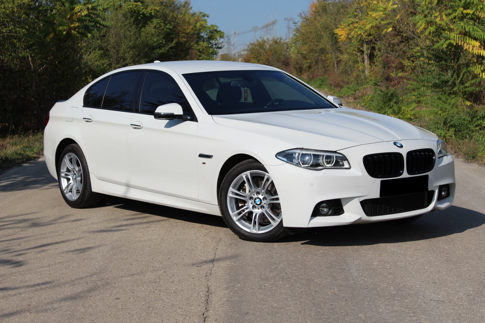 BMW 530 M-sport/X-drive/Auto/Recaro - изображение 4