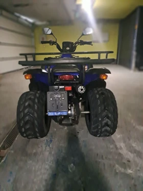 Aeon Cobra 250 | Mobile.bg    8