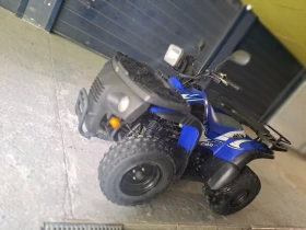     Aeon Cobra 250