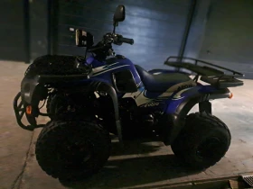 Aeon Cobra 250 | Mobile.bg    12