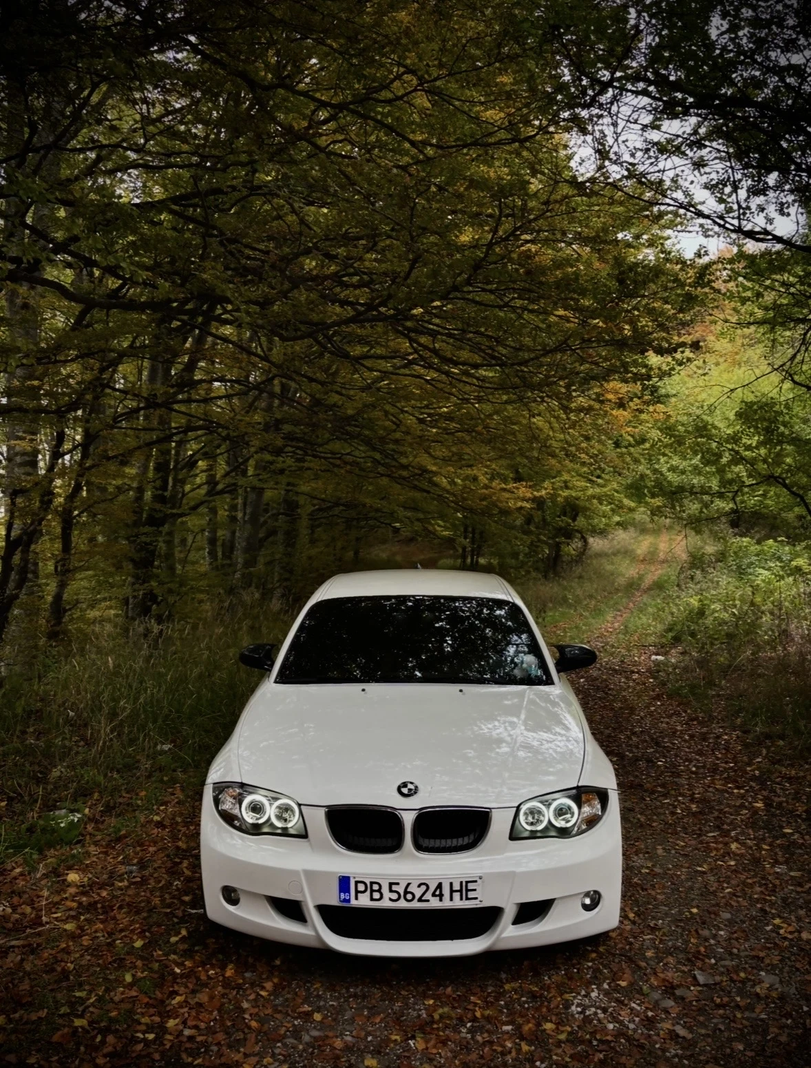 BMW 116 1.6, снимка 2 - Автомобили и джипове - 55713250