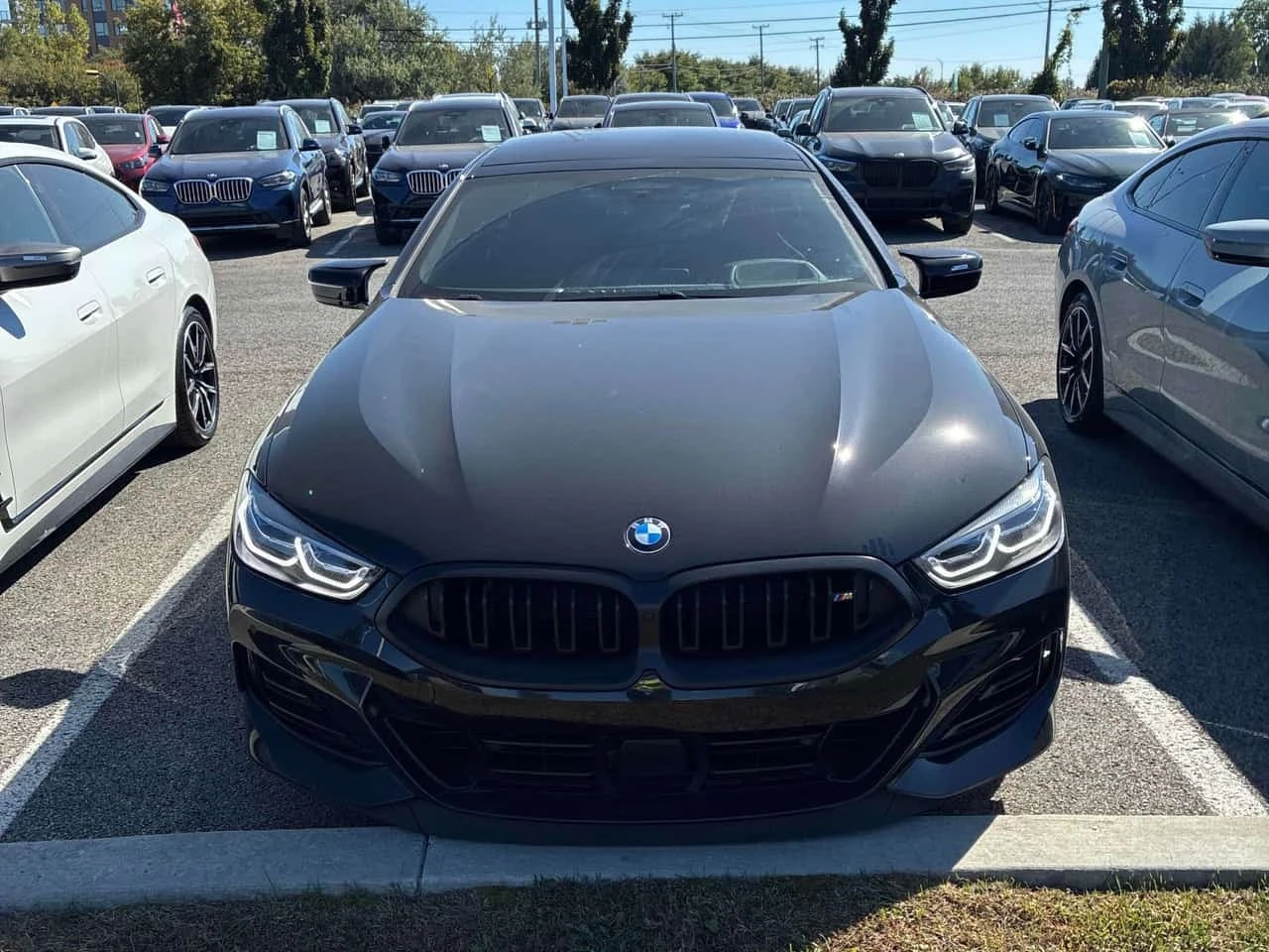 BMW 850 * M850i xDrive * CARFAX * , снимка 6 - Автомобили и джипове - 56271085