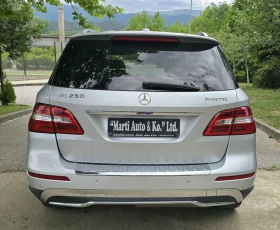 Mercedes-Benz ML 250 Bluetec, снимка 8