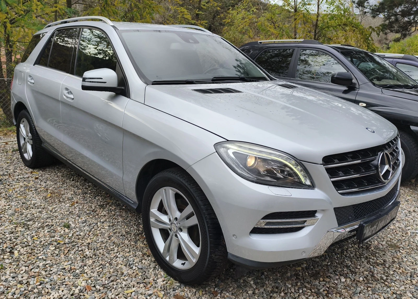 Mercedes-Benz ML 250 Bluetec, снимка 1
