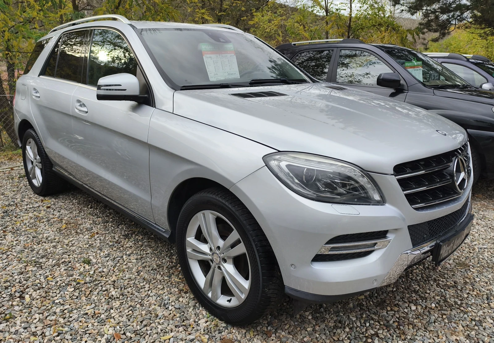 Mercedes-Benz ML 250 Bluetec | Mobile.bg   2