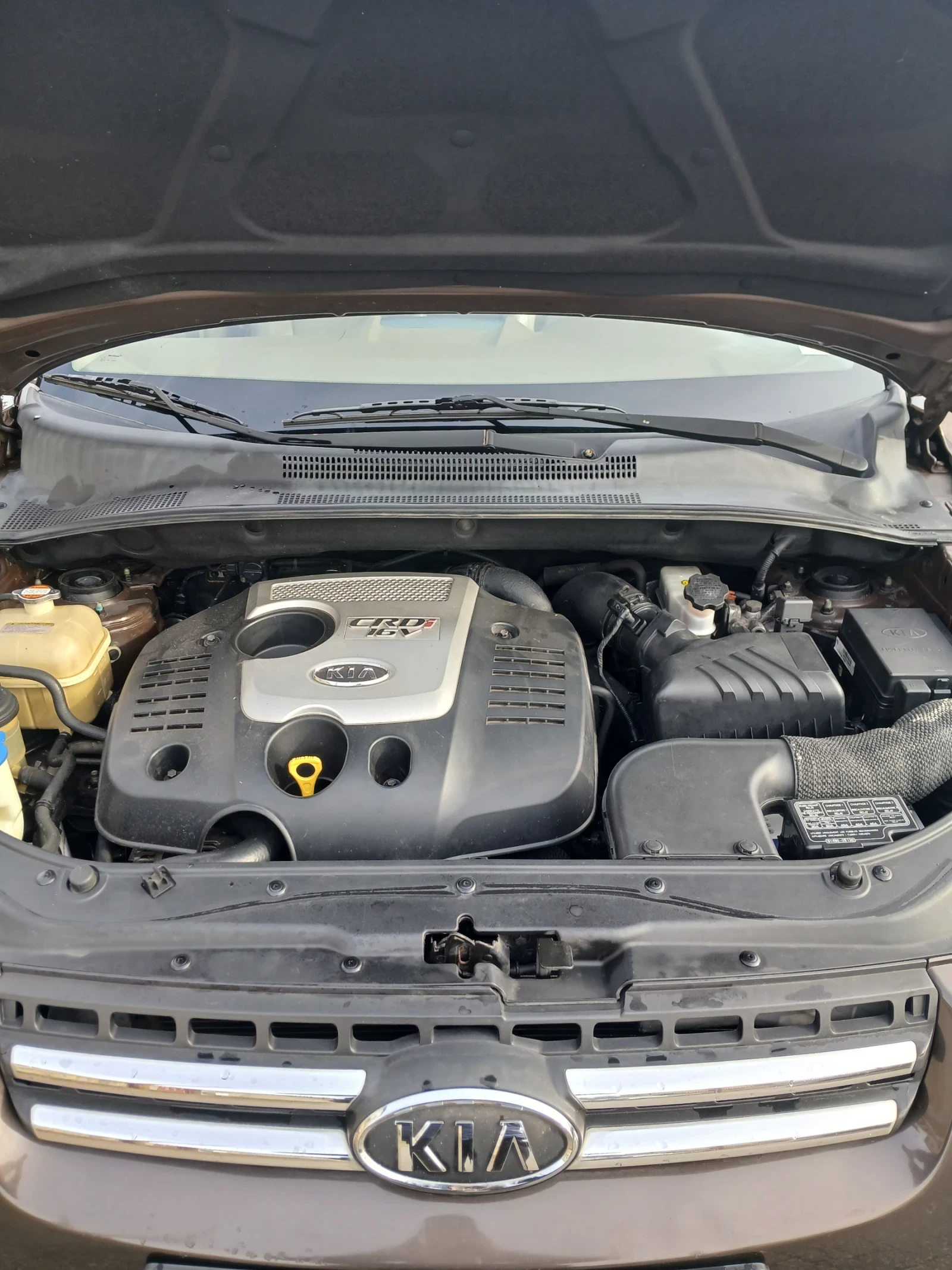 Kia Sportage | Mobile.bg � ����������� 14