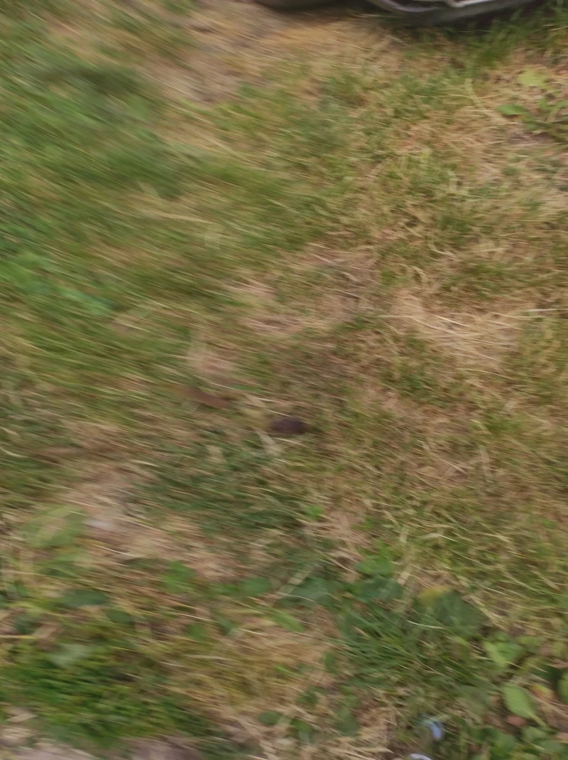 Mercedes-Benz E 250 W 210, снимка 2 - Автомобили и джипове - 52839498