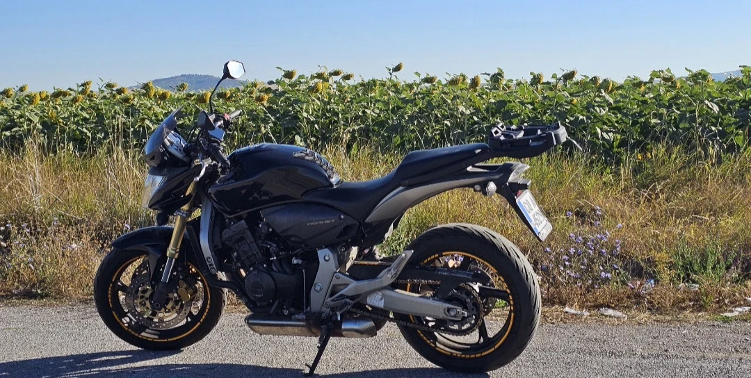 Honda Hornet, снимка 10 - Мотоциклети и мототехника - 55133188