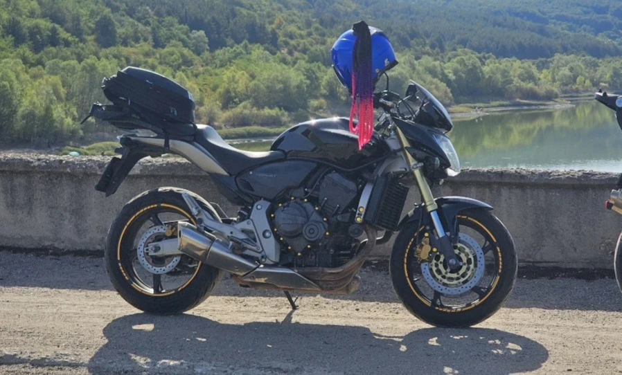 Honda Hornet