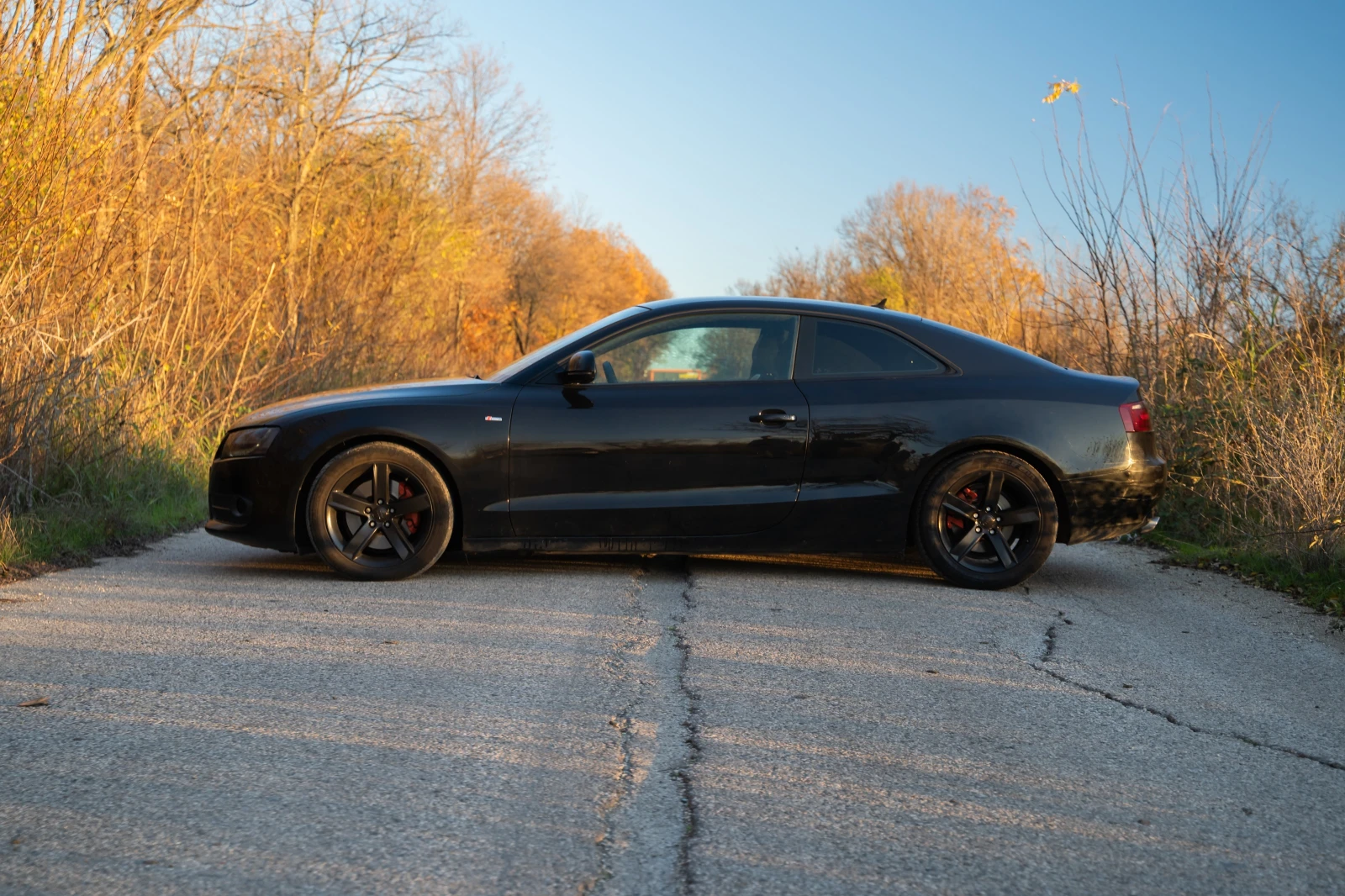 Audi A5 3.0tdi - изображение 6