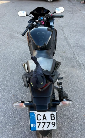 Honda Cbr 250r | Mobile.bg � ����� ������ 3