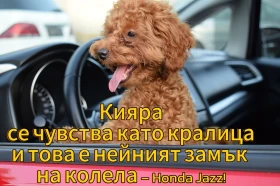 Honda Jazz 1.3ШВЕЙЦАРИЯ - 18150 лв. - 91398912 7