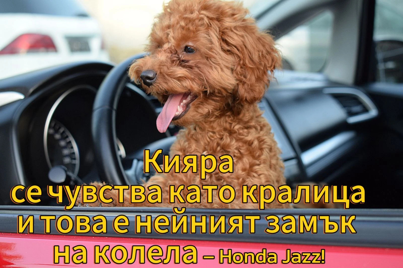 Honda Jazz 1.3ШВЕЙЦАРИЯ - изображение 7