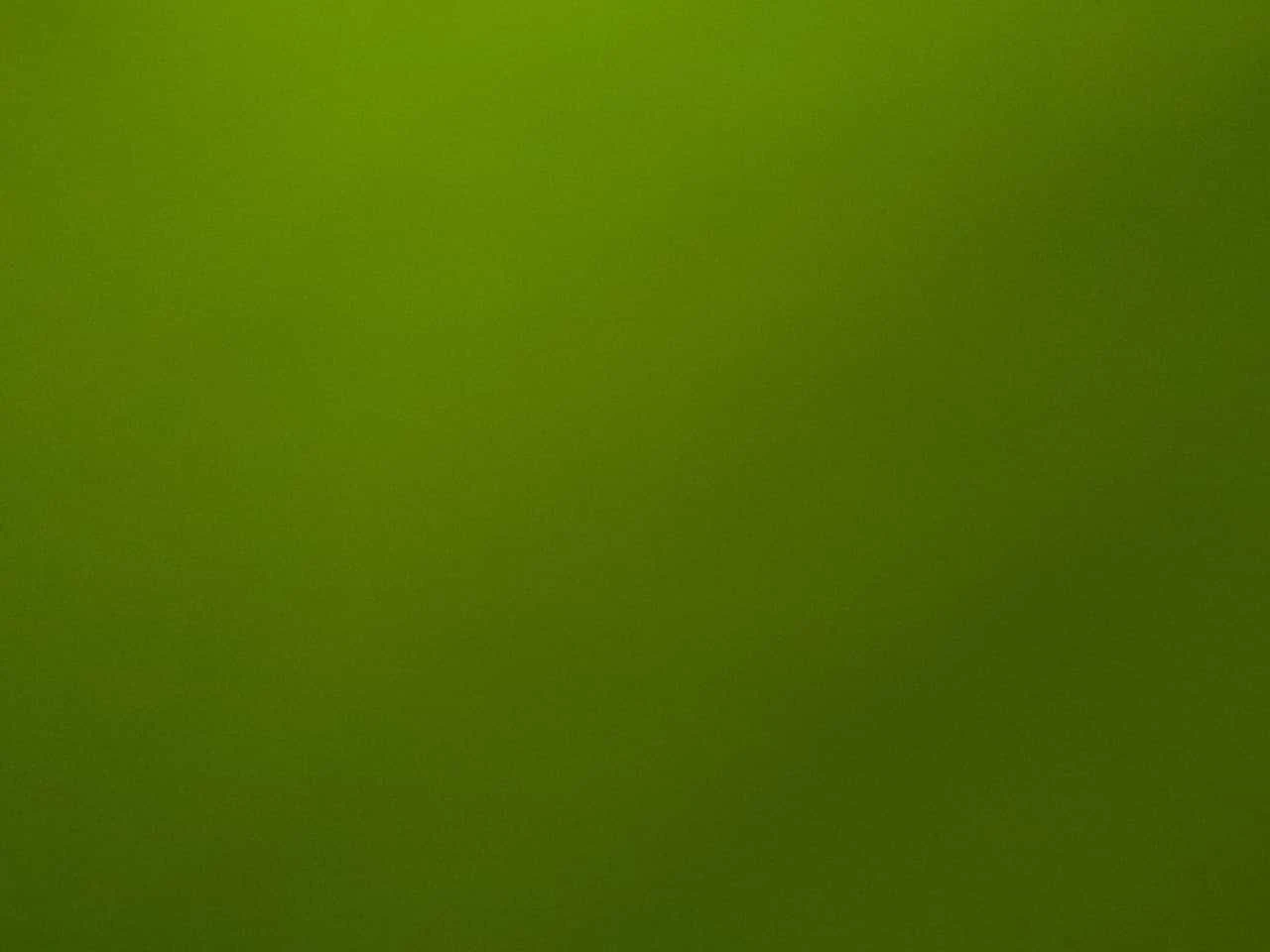 Audi A5 * Progressiv * 2 �����* ������* KEYLESS*  | Mobile.bg � ����������� 14