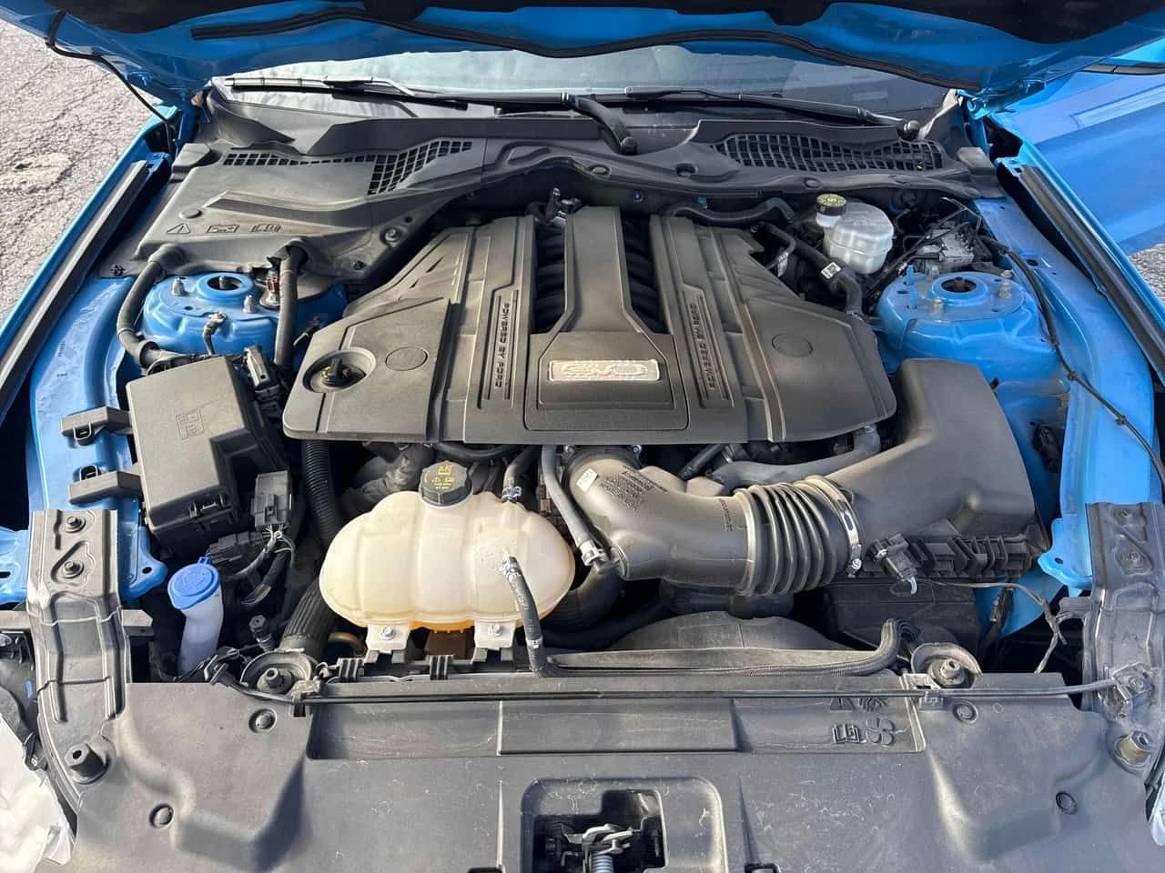 Ford Mustang * GT * CARFAX * ЦЕНА ДО БГ, снимка 9 - Автомобили и джипове - 54379629