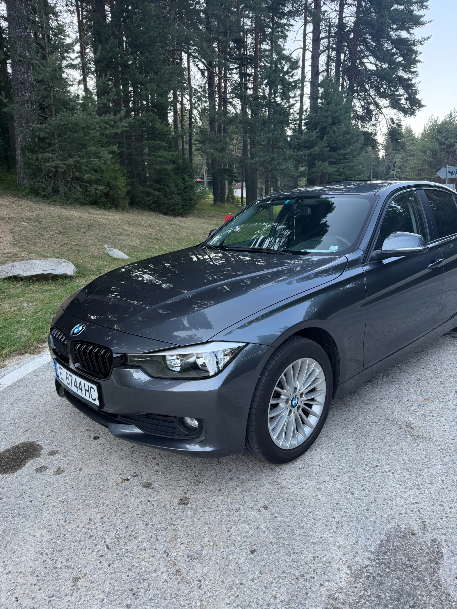 BMW 318